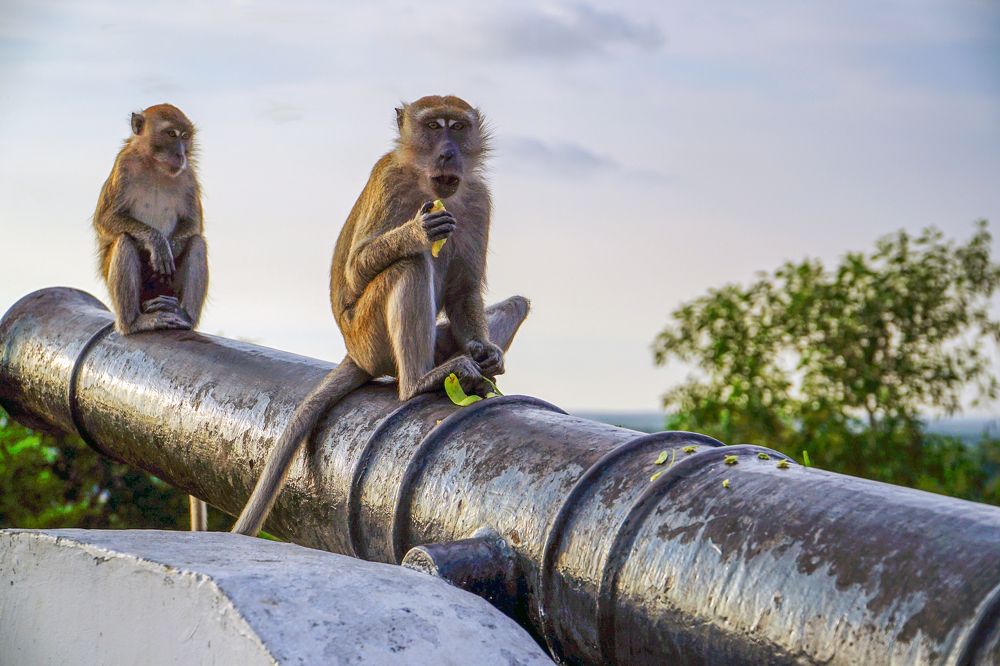 Photograph by Samuel Chan