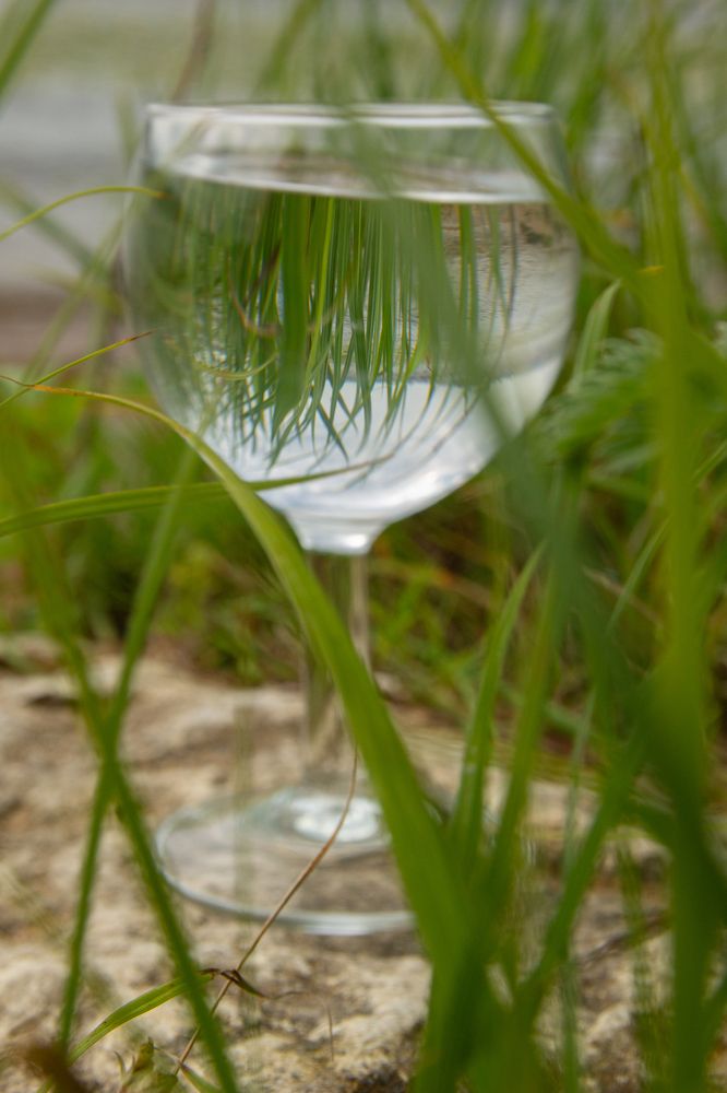 Photograph by Дарья Улюсова