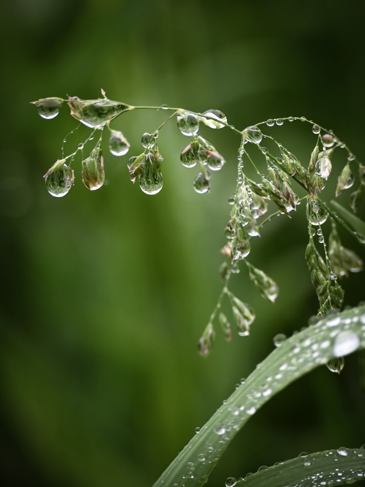 Фотография автора Надежда Барышева