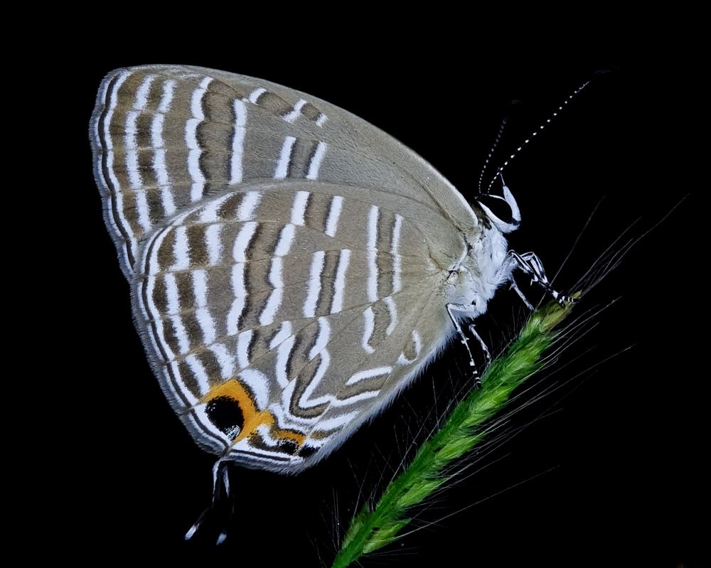 Photograph by Kedarnath M S