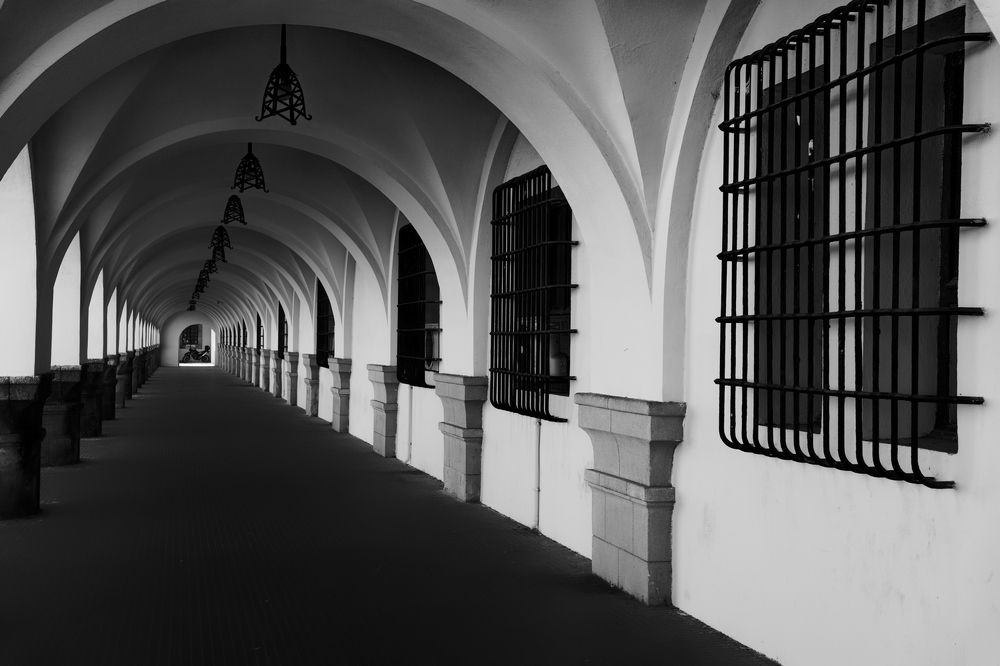 Фотография автора David Solodar