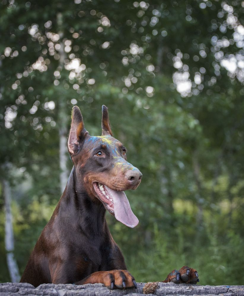 Photograph by Евгения Барановская