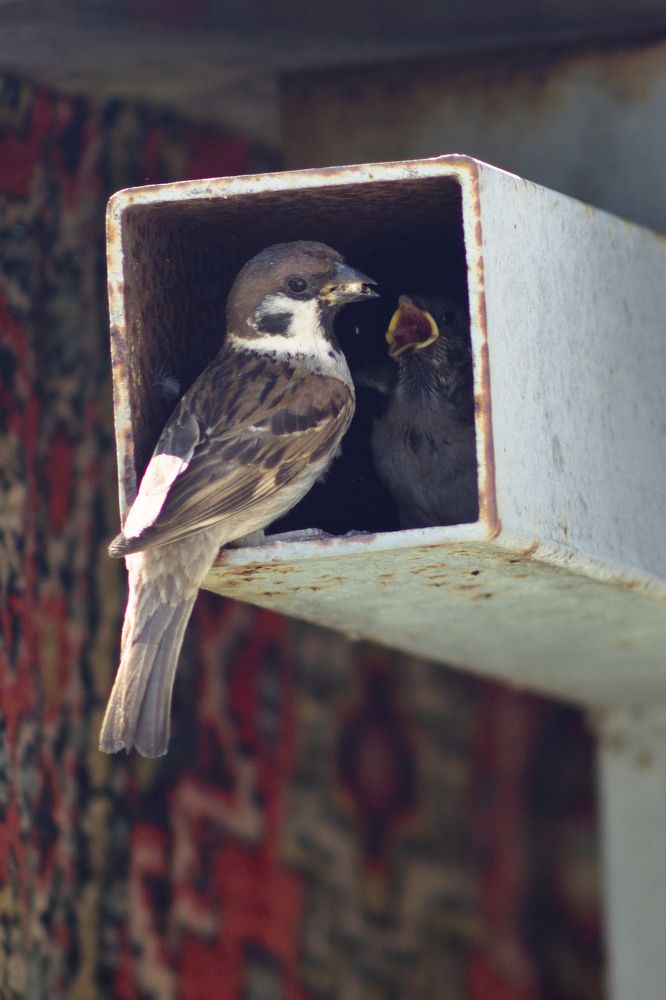 Photograph by Юлий Стремский