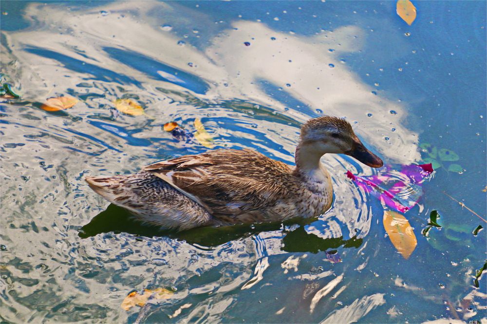 Photograph by Владислав Воровский