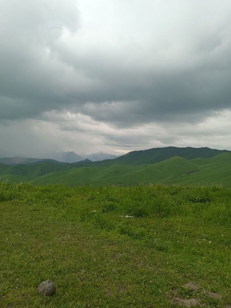 Photo #10839482