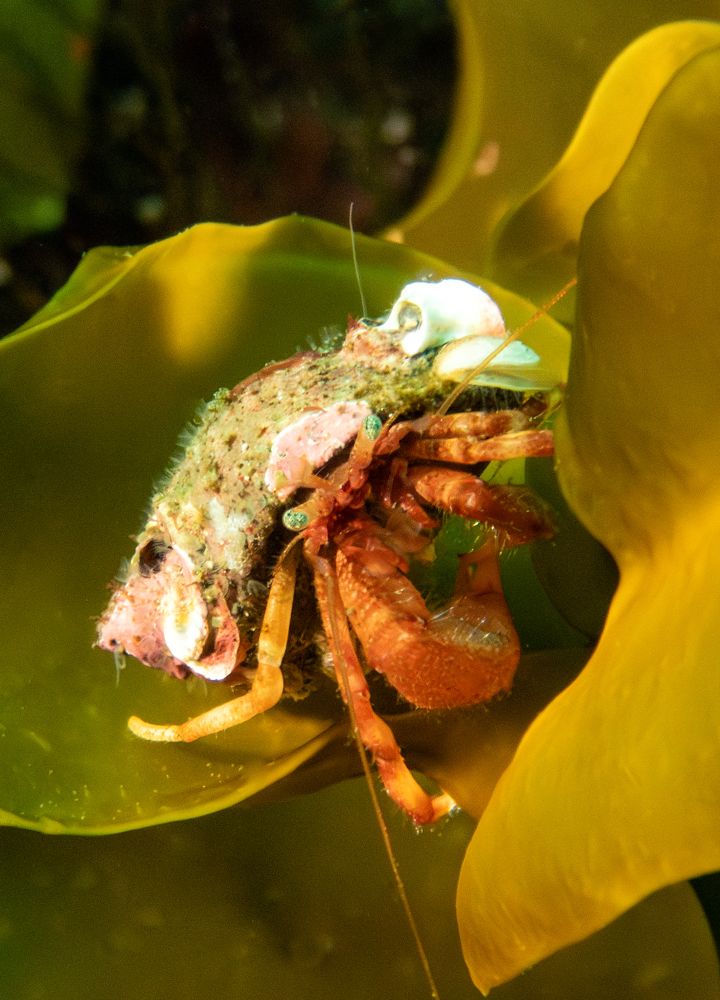 Photograph by Всеволод Сахновский