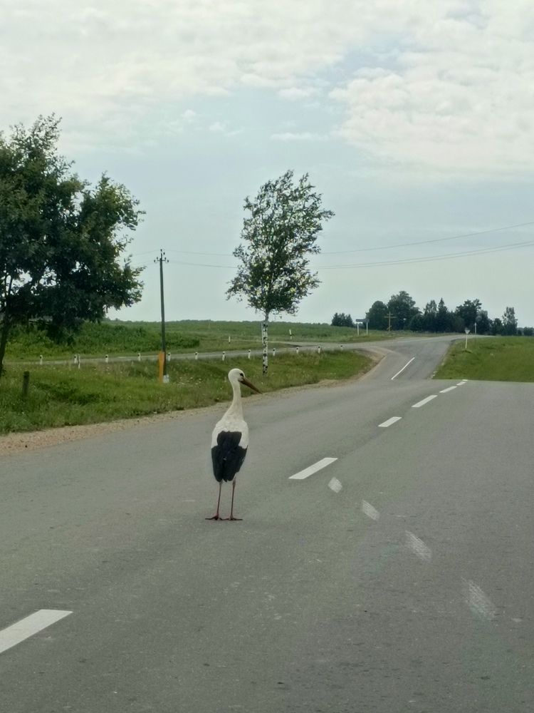 Photograph by Нина Аристова