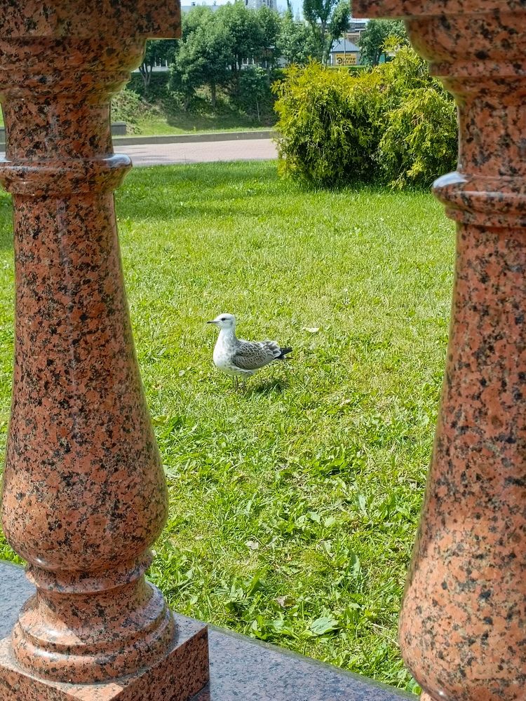 Photograph by Нина Аристова