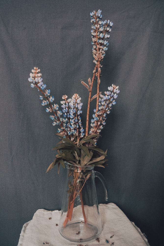 Photograph by Irina Kolotova