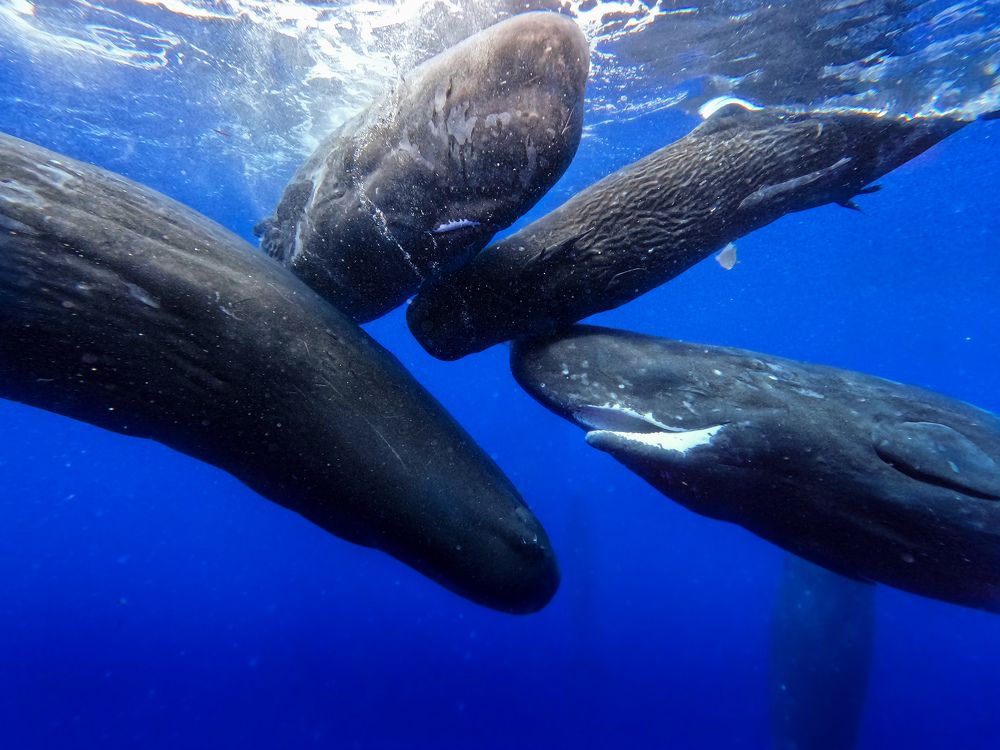 Photograph by uzeyr kamora