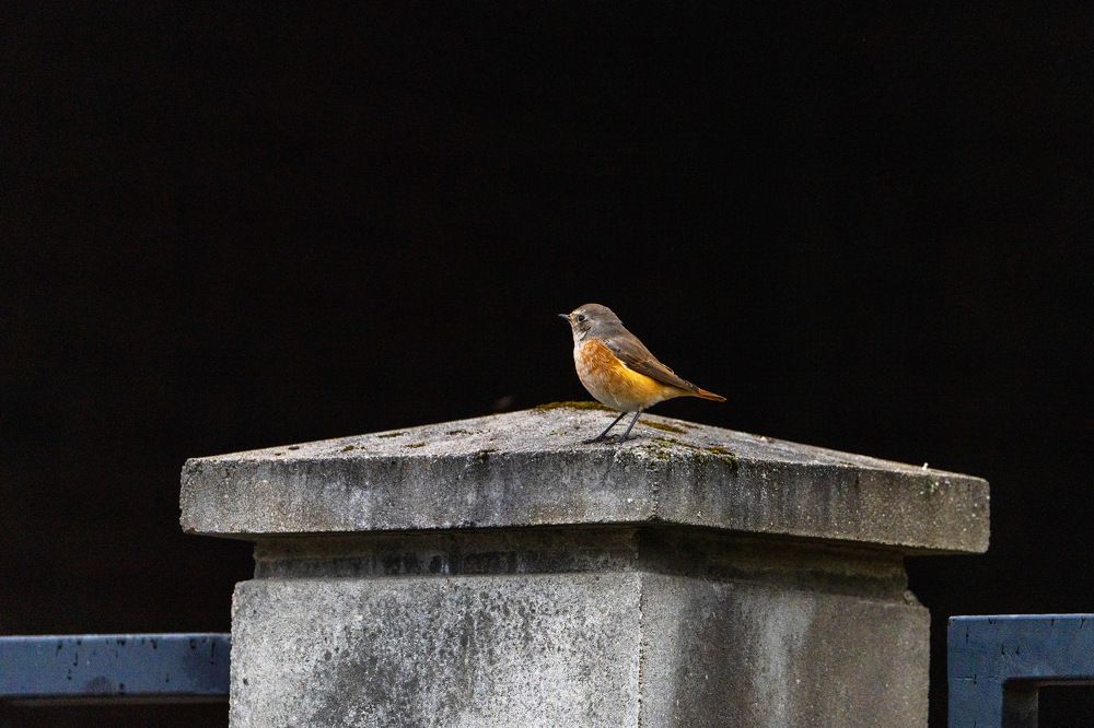 Городской минимализм.