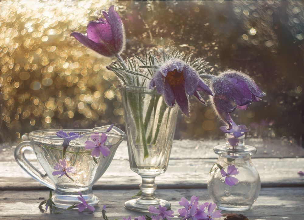 Photograph by Зимина Лионелла