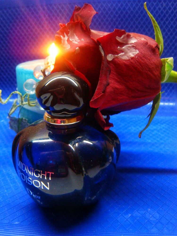 Фотография автора Oksana Podgorodetska