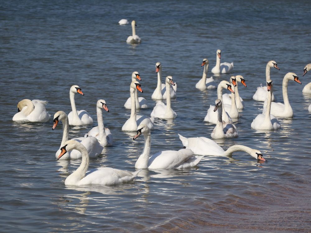 Photograph by Natalya Sedina