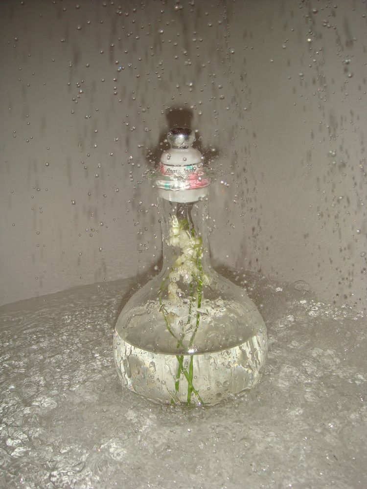 Фотография автора Oksana Podgorodetska