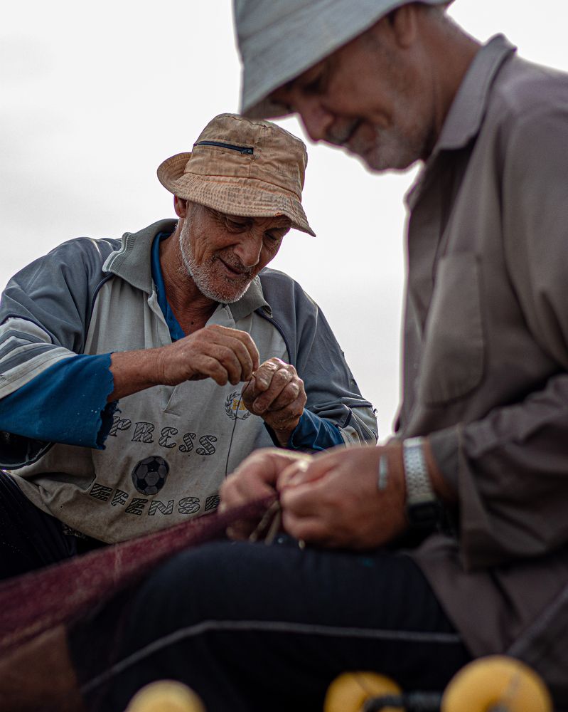 Фотография автора Mohamed Safwat