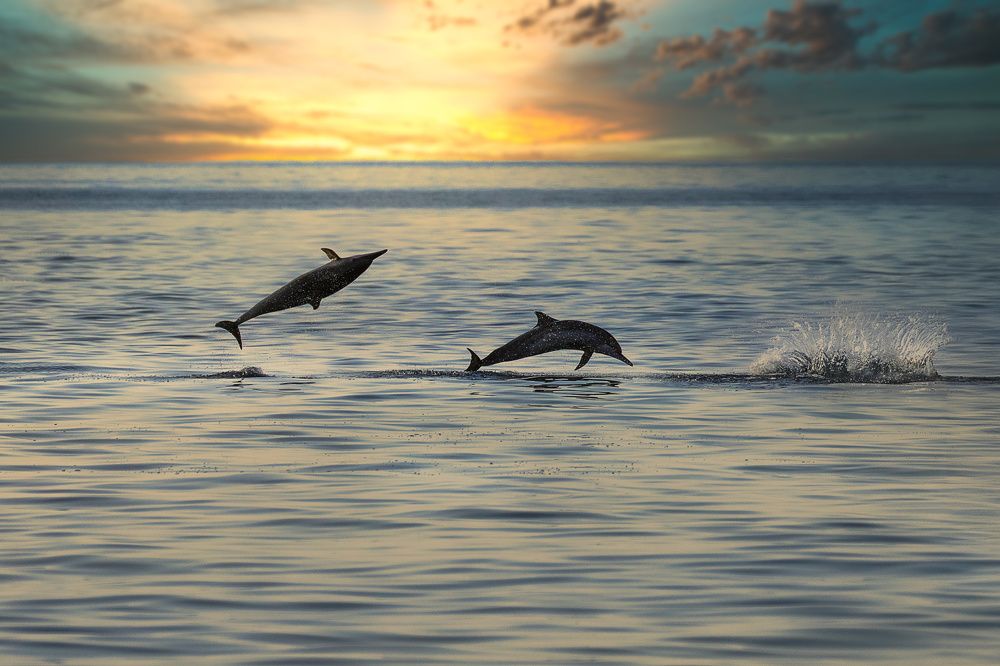 Photograph by Владимир Остапенко