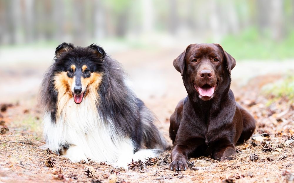 Photograph by Дарья