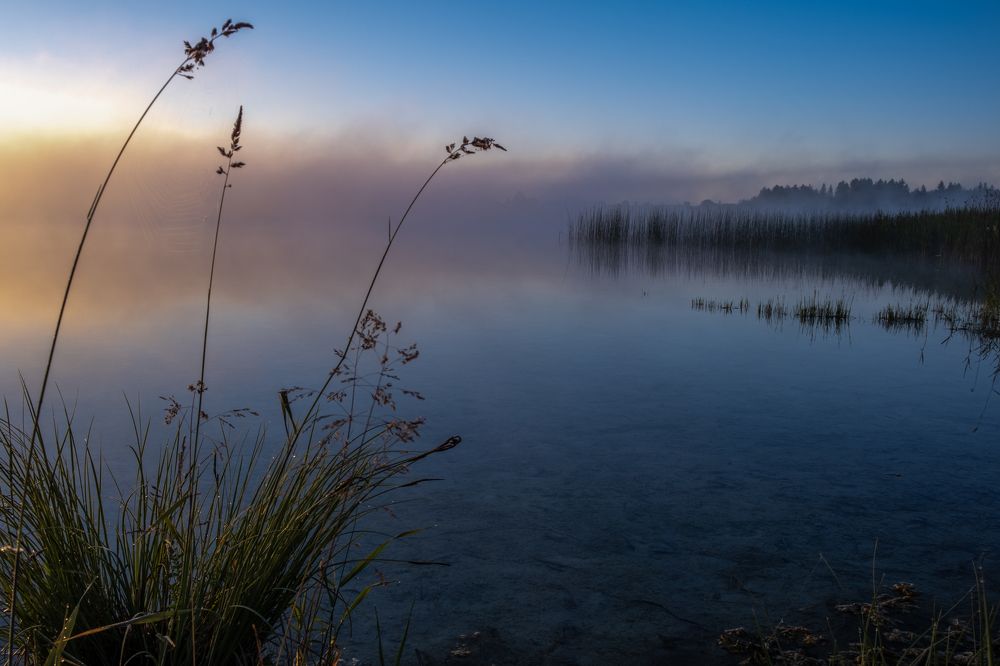 Photograph by Владимир