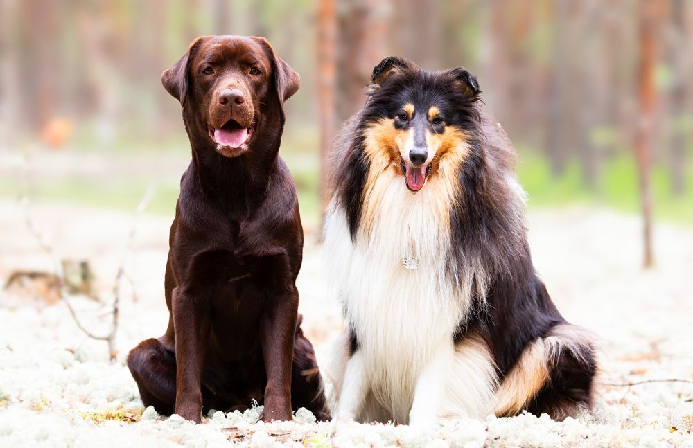 Photograph by Дарья