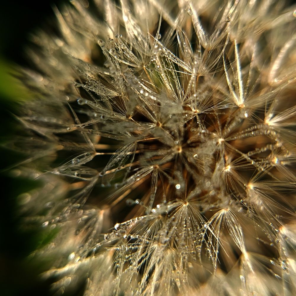 Фотография автора Татьяна