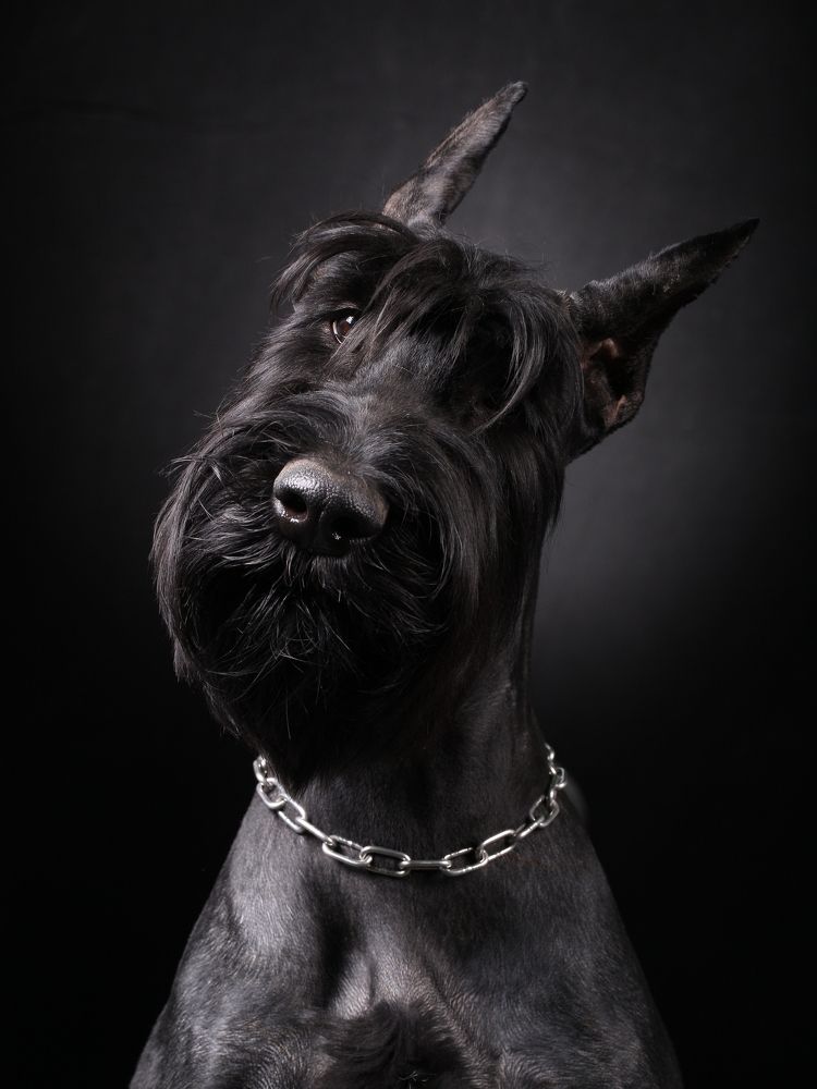 Фотография автора Mikhail