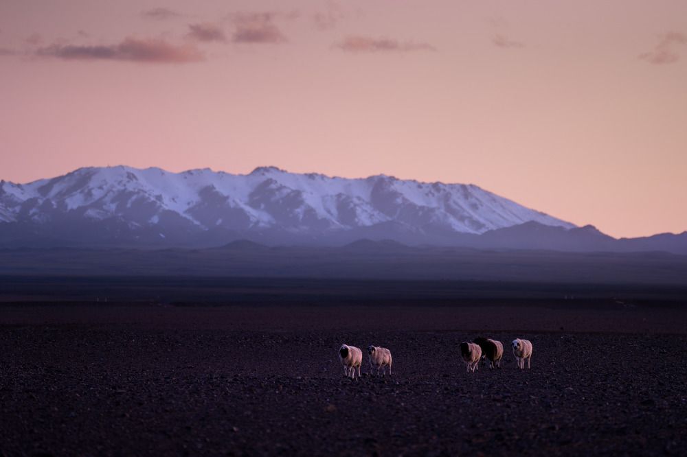 Photograph by Trần Tiến Dũng