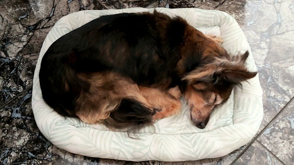 Photograph by Nella Libenzon