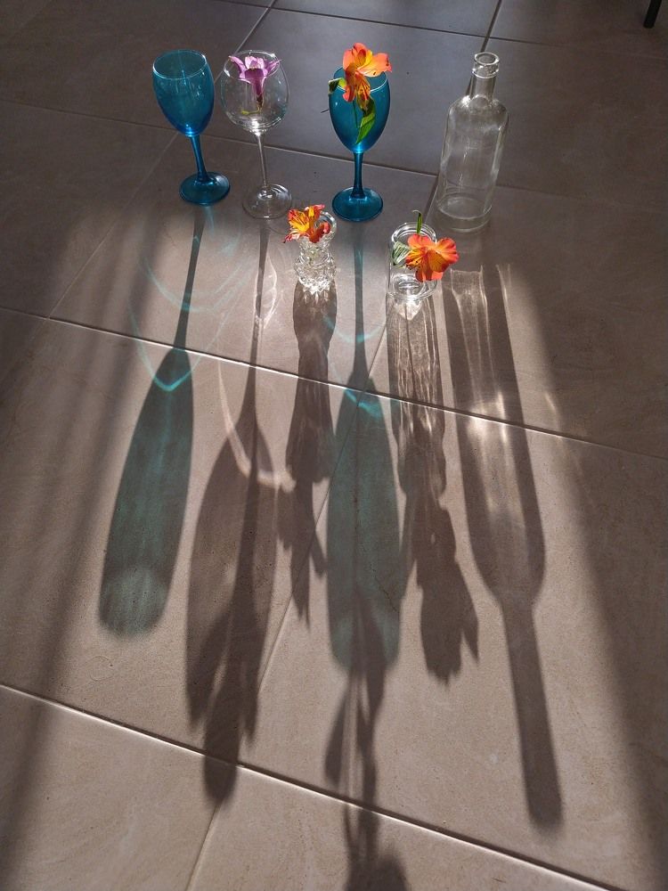 Photograph by Natalya Sedina