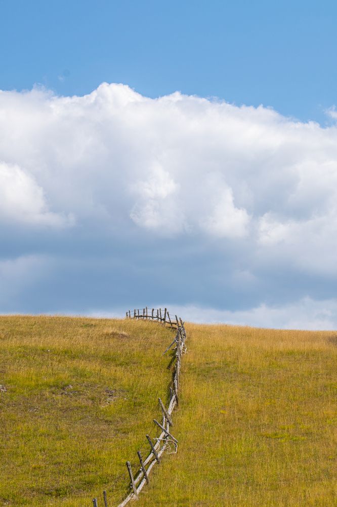 Photograph by Maja Rakić