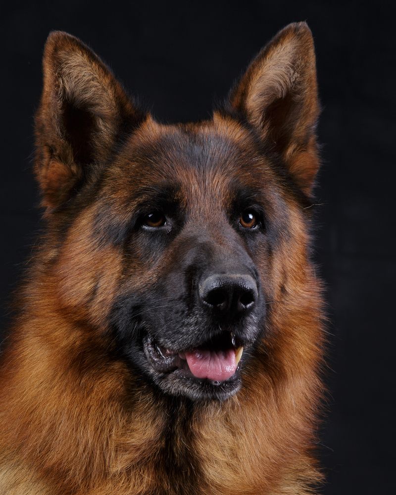 Фотография автора Mikhail