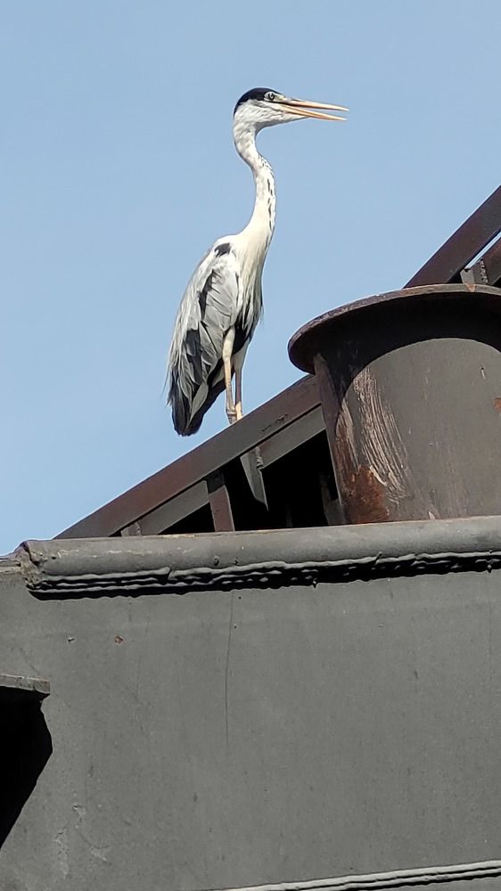 Photograph by Gilson Marcos Ferreira de Oliveira Oliveira