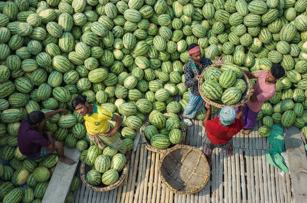 Photograph by Badal Chandra Sarker