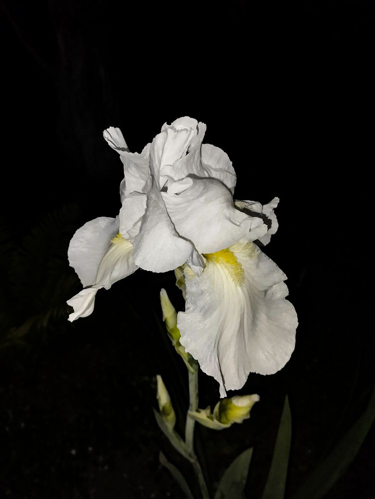 Photograph by Юлия Волгина
