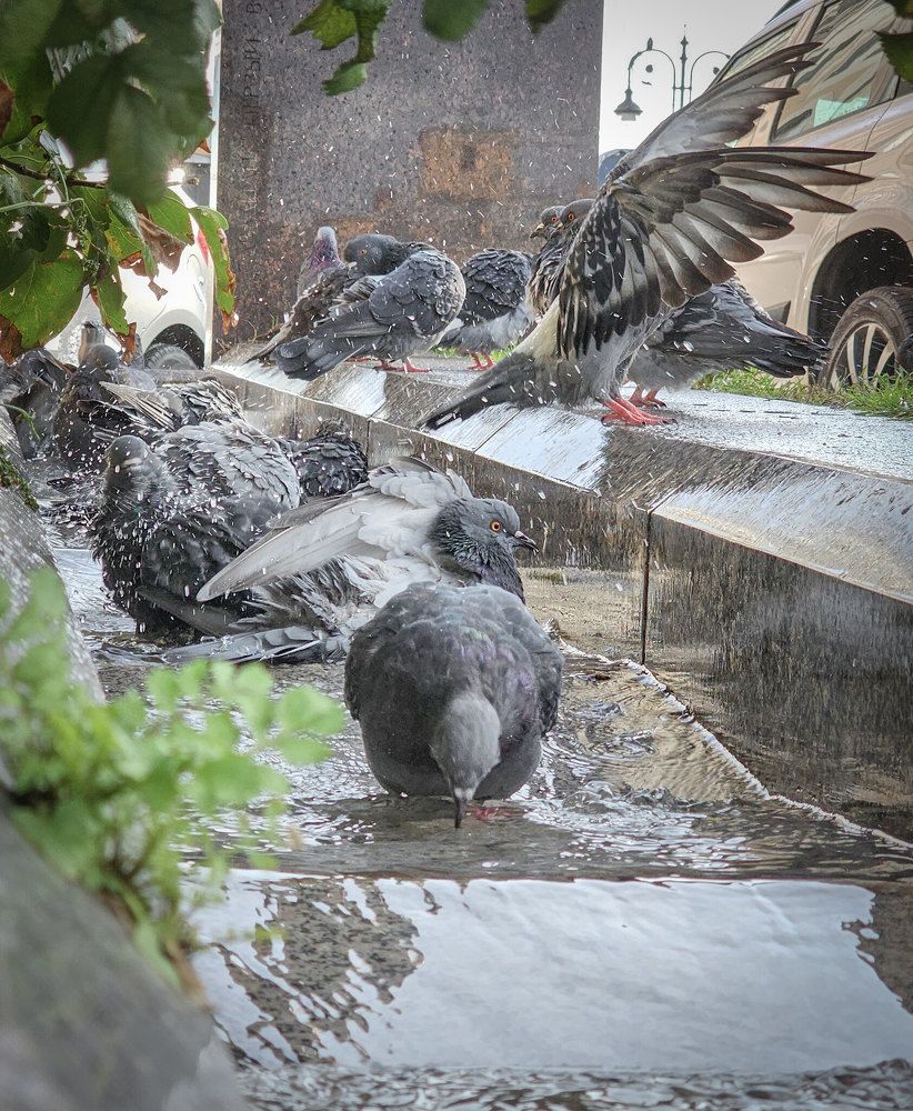 Photograph by Svetlana Dorokhova