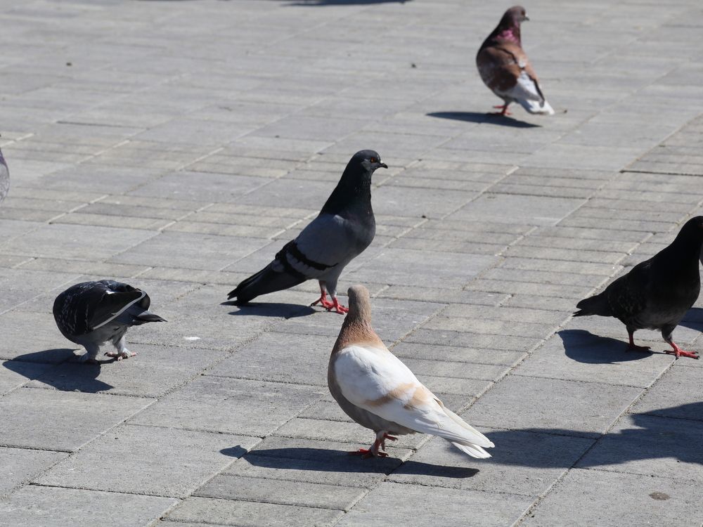 Photograph by Natalya Sedina