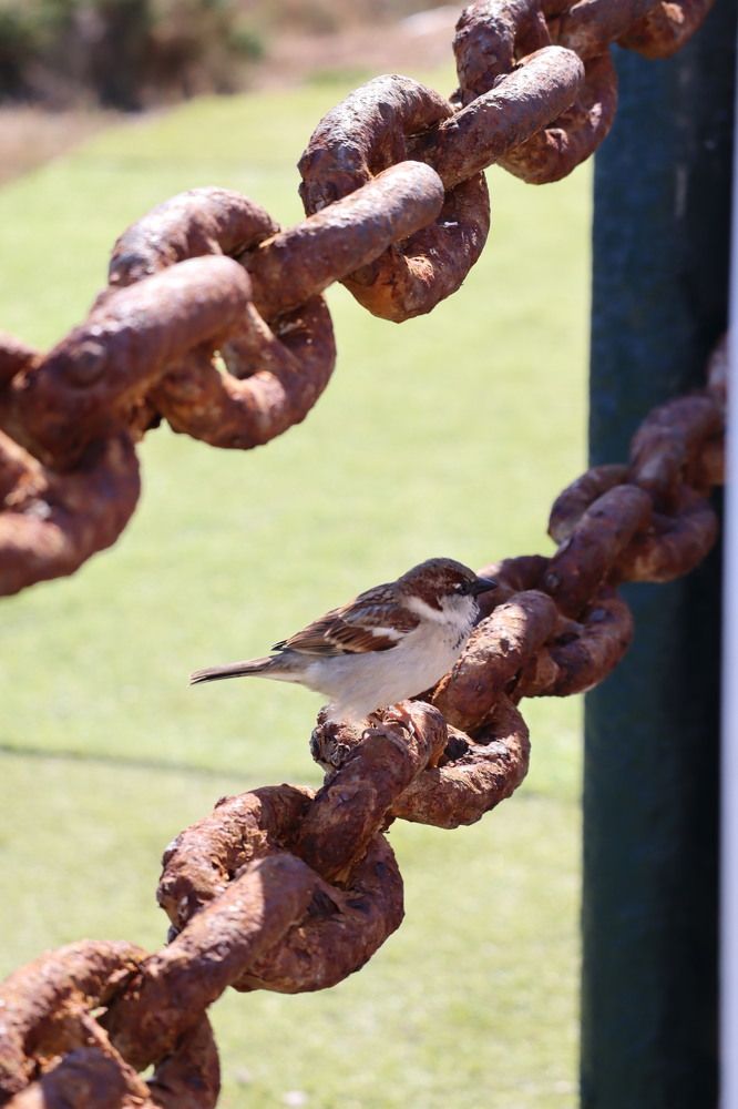 Photograph by Natalya Sedina