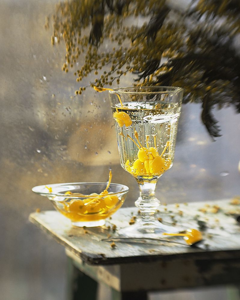 Photograph by Svetlana Inyusheva