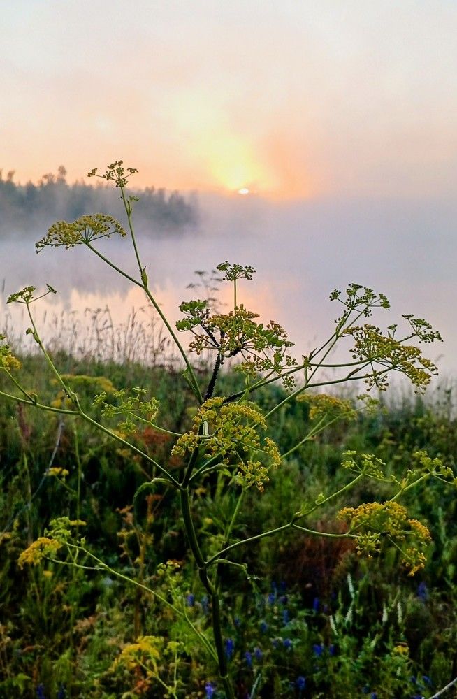 Photograph by Aleks Dem