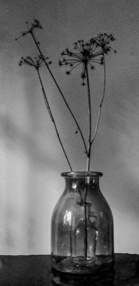 Photograph by Наталья Трофимова