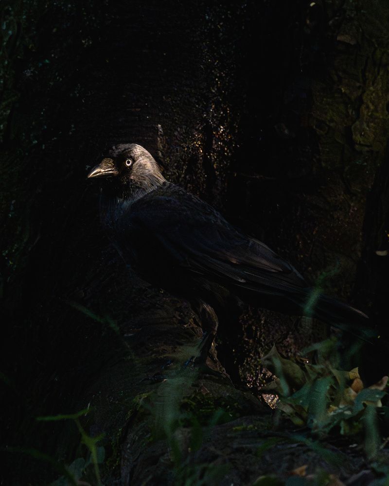 Photograph by Anton Leonchikov