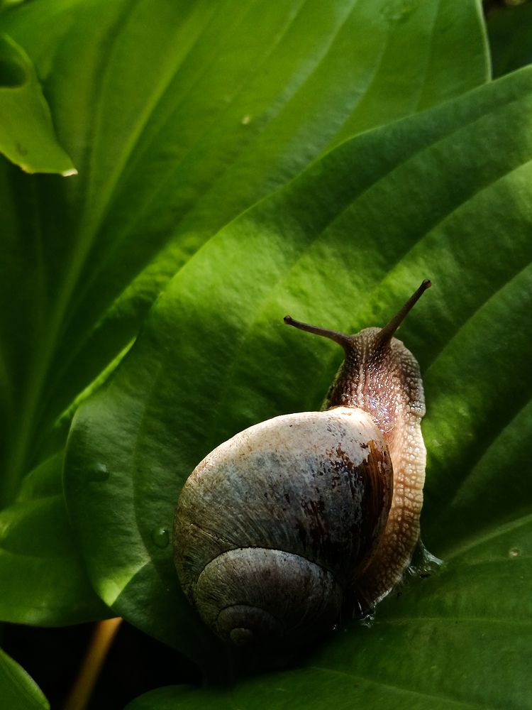 Photo #10840285
