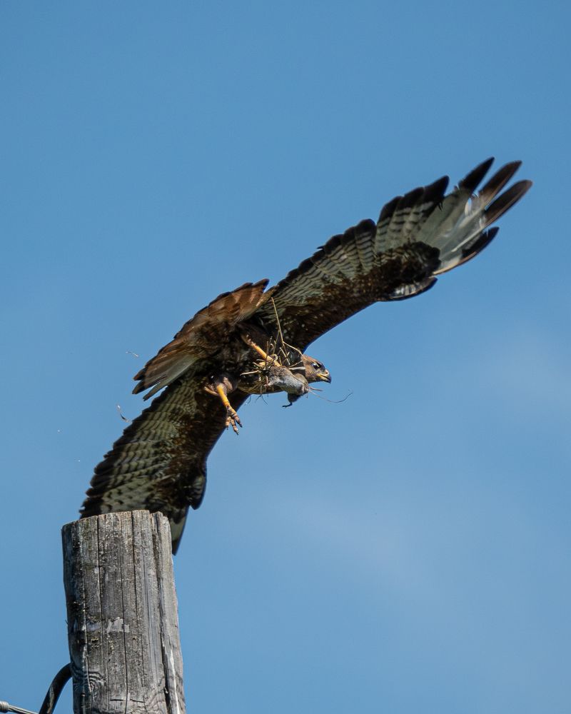 Photograph by Высотских Владимир