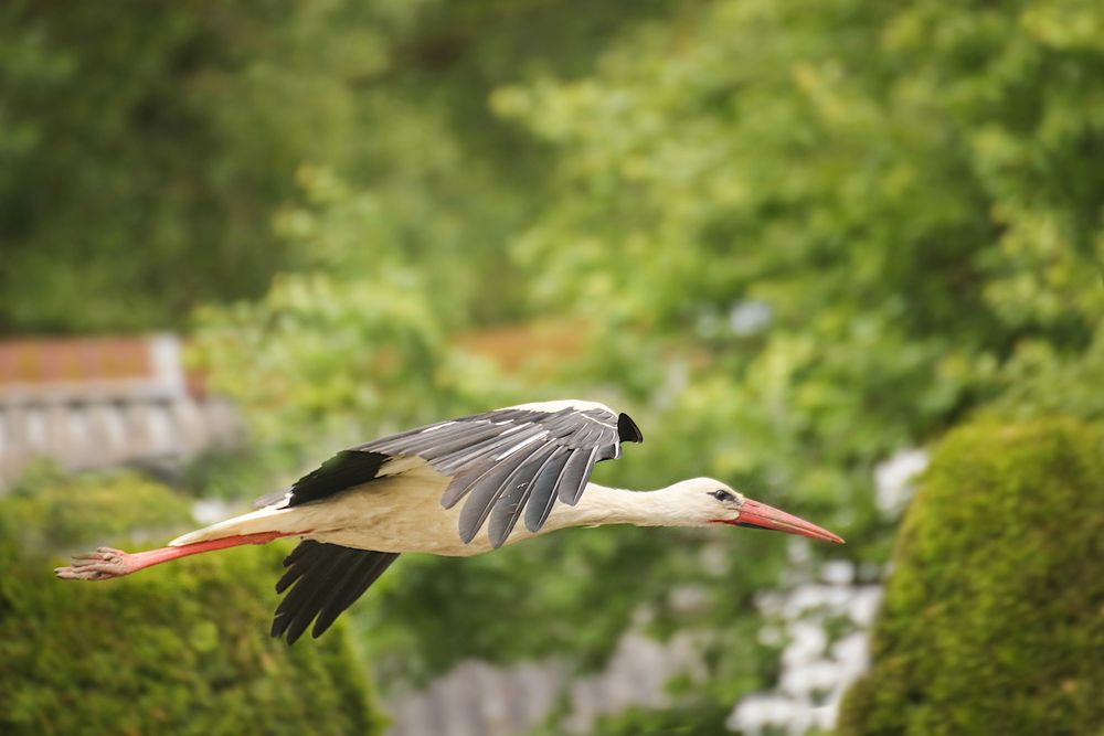 Photograph by Шруб (Беляева) Татьяна