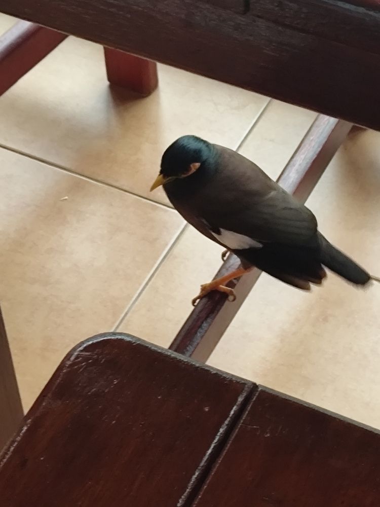 Photograph by Наталья