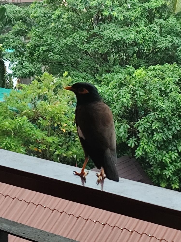 Photograph by Наталья