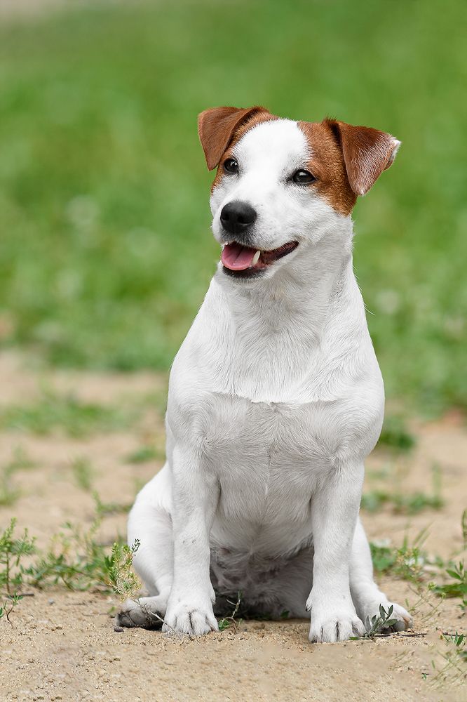 Photograph by Виктория Сафонова