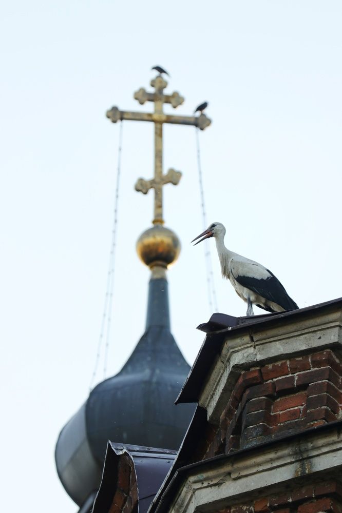 Photograph by Наталья Гайдукевич