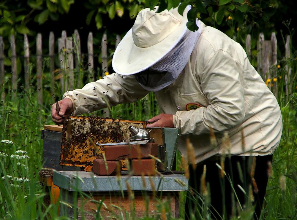 Фотография автора Александр
