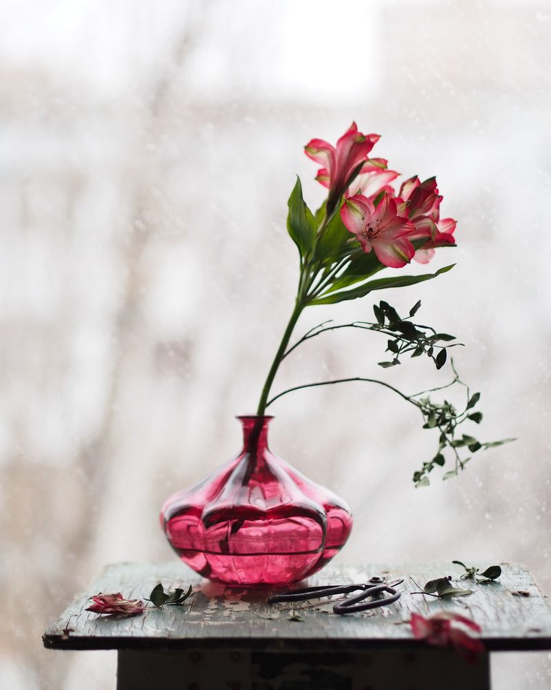 Фотография автора Svetlana Inyusheva